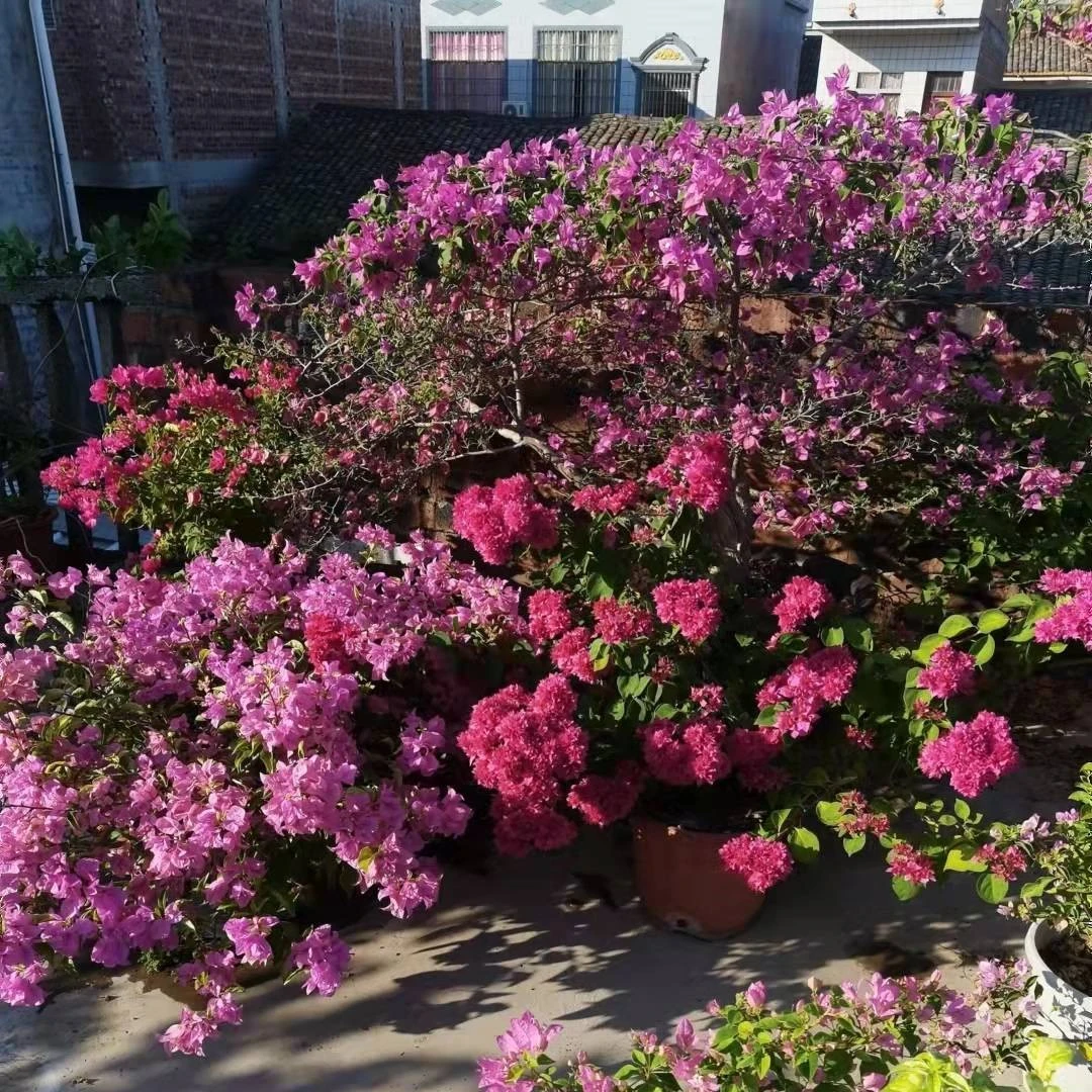 不售后【一物一拍】扣收货手机尾号后4位不能扣错哦