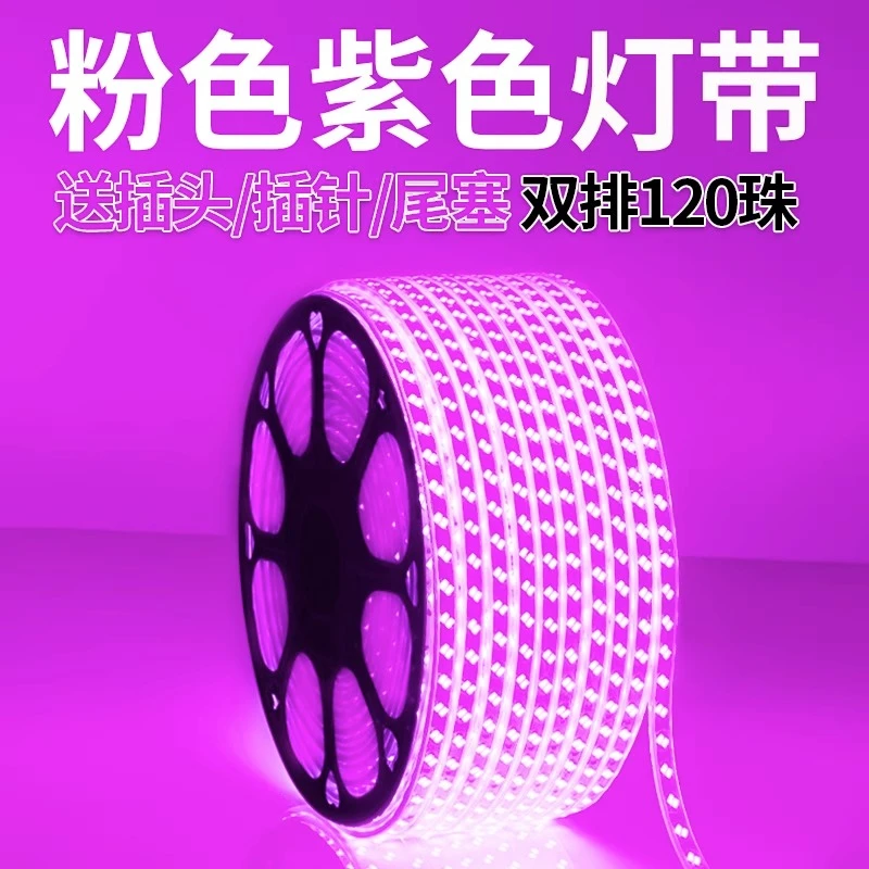 紫色led灯带紫光粉色灯带家用220v装饰浪漫创意超亮户外防水长条