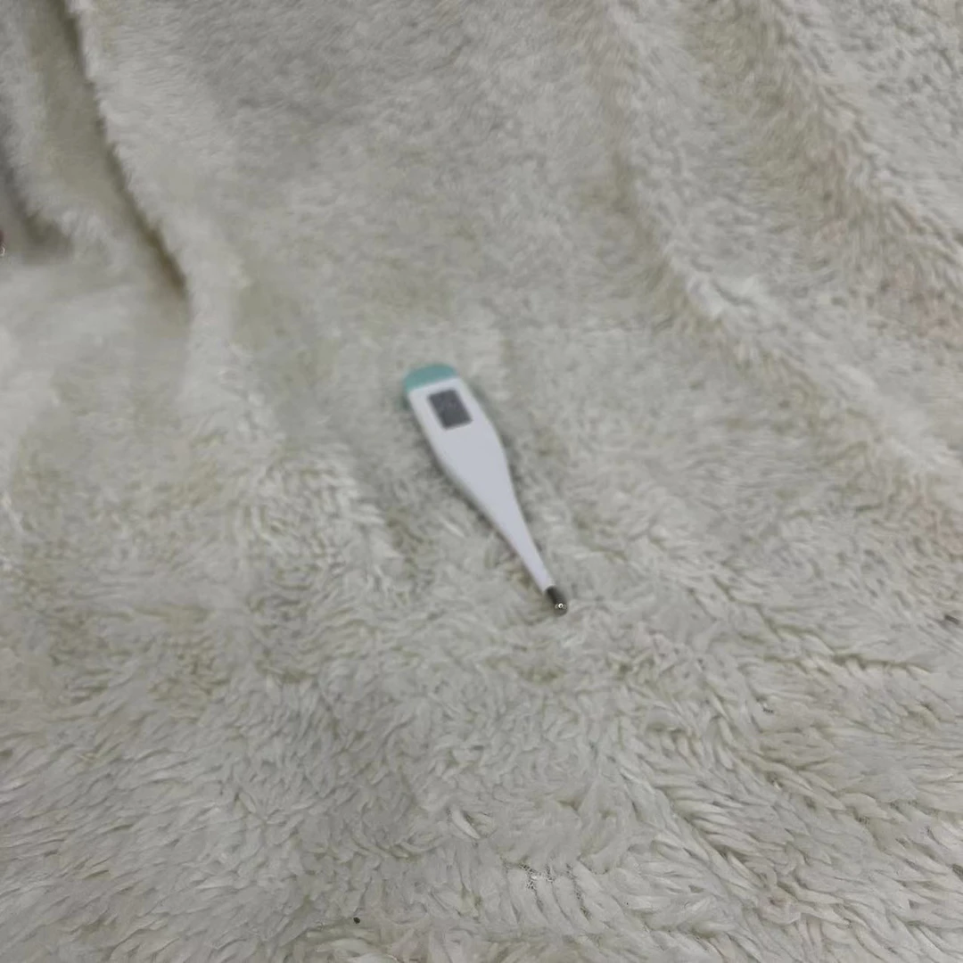 数字温度计  温度计