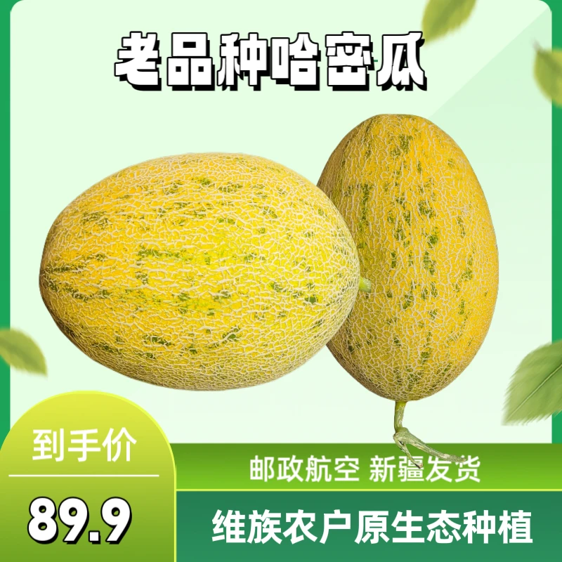 新疆哈密老品种哈密瓜皮薄肉厚脆甜可口正宗发货新鲜采摘