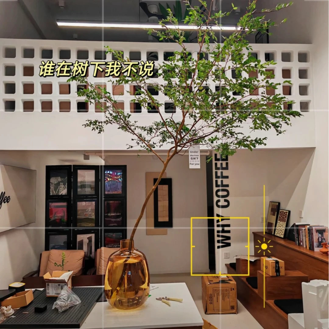 网红新款高级感大肚花瓶鲜花干花绿植落地插花器漂亮百搭家居摆件