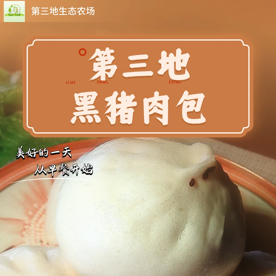 (直播）第三地生态农场精选黑猪肉纯肉包笋干萝卜丝腌菜包
