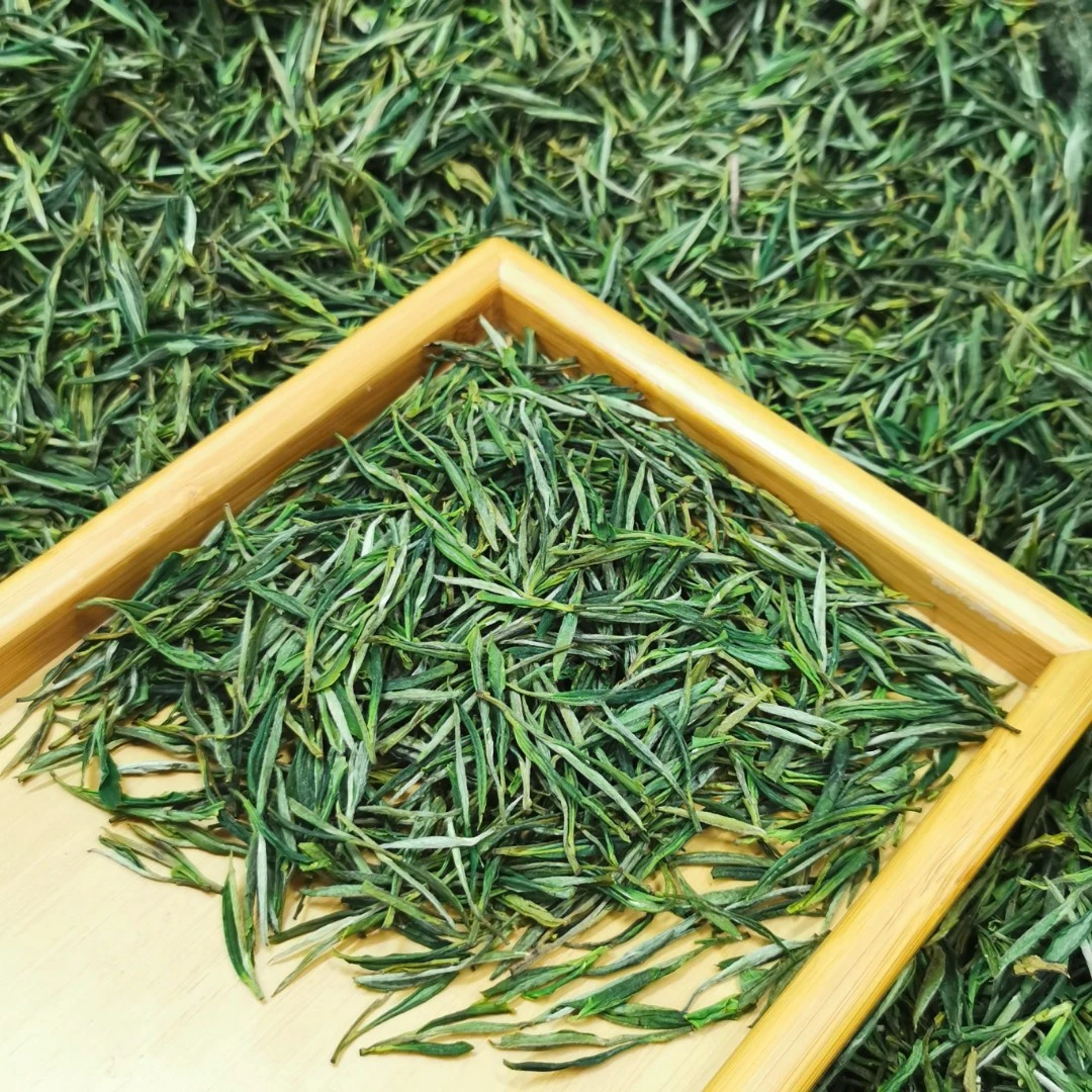 2024新茶精品高山明前毛尖冲泡限量产品