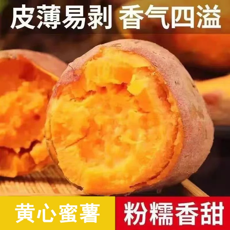 现挖新鲜黄心红薯宝宝辅食沙地蜜薯农家自种粉糯甜香几乎无丝番薯