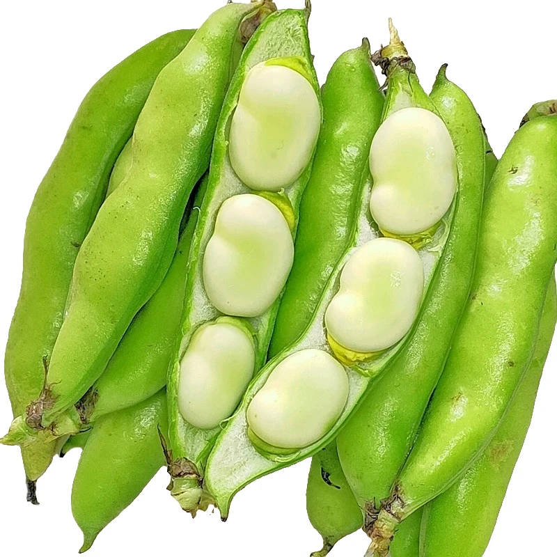 【胡豆】四川新鲜胡豆蚕豆现摘蔬菜3斤5斤8斤