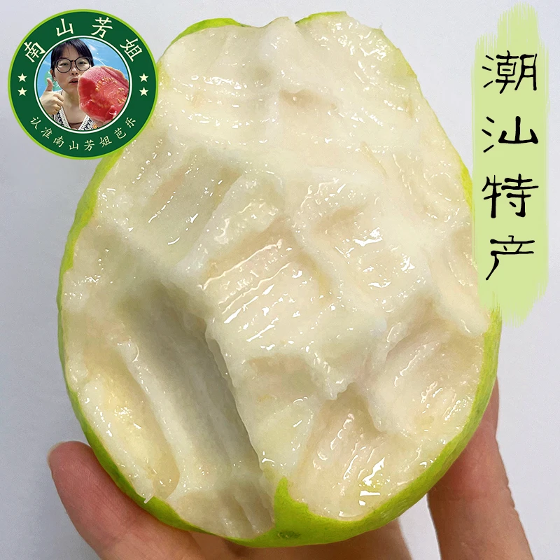 广东潮汕奶油白心软芭乐软糯番石榴3斤5斤当季新鲜水果红心包邮