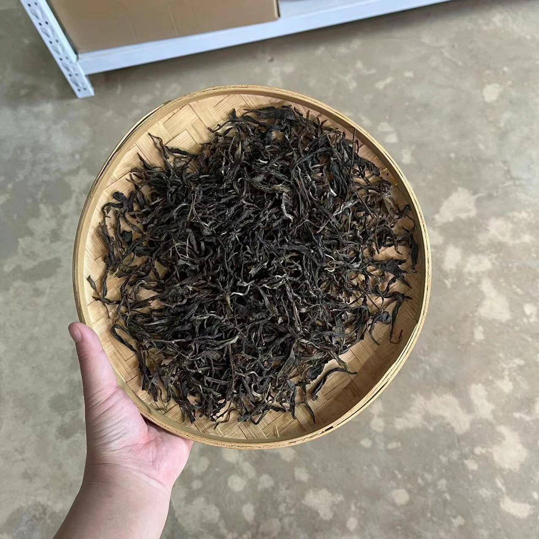 【鑫说】云南普洱茶---2019年冰岛广场单株古树纯料生普