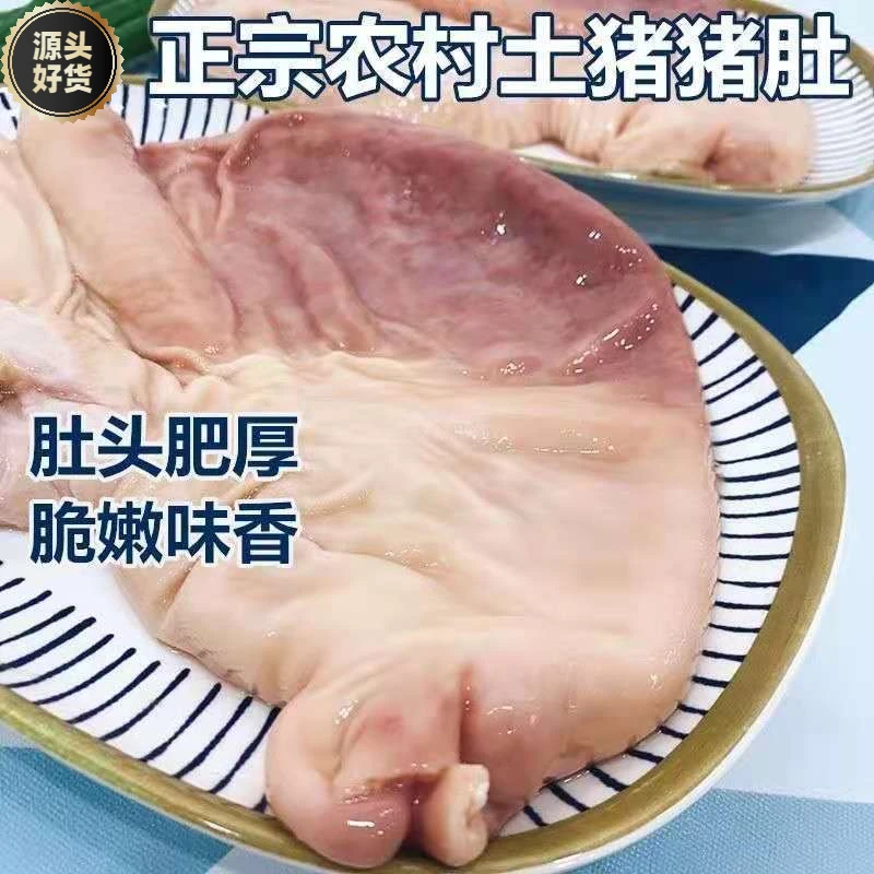 【顺丰冷链】农家散养新鲜猪肚现杀新鲜猪肚干净免洗整只新鲜冷冻猪