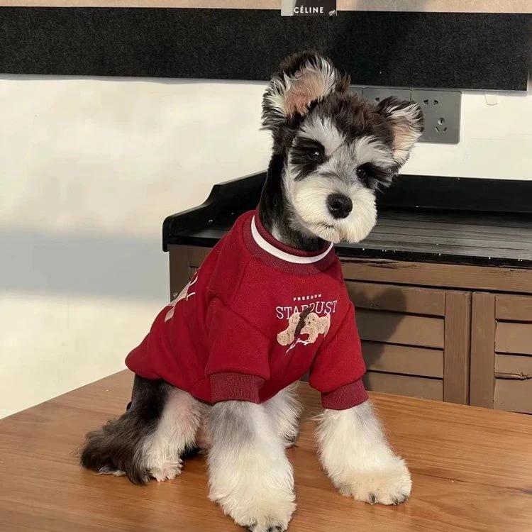 狗狗衣服小型犬雪纳瑞泰迪博美印花潮牌冬装宠物加厚保暖狗衣服