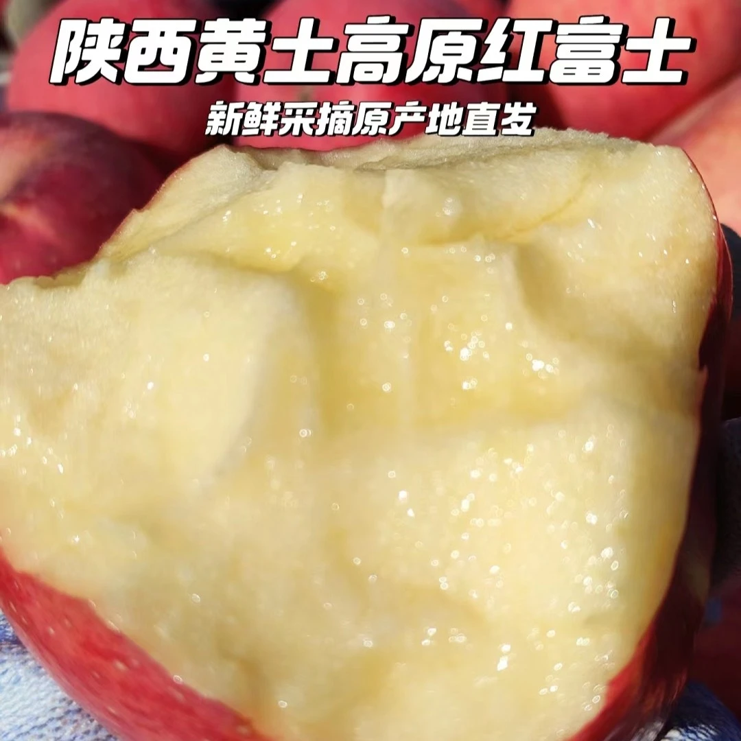 （精品果）2025新果陕西延安黄土高原农家种植脆甜山地苹果5-15斤