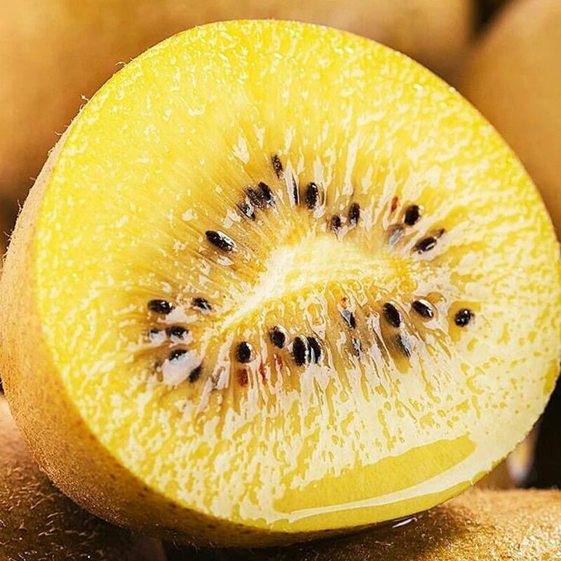 【买6枚送6枚】黄心奇异果一整箱奇异果金桃新鲜水果生鲜果园现摘