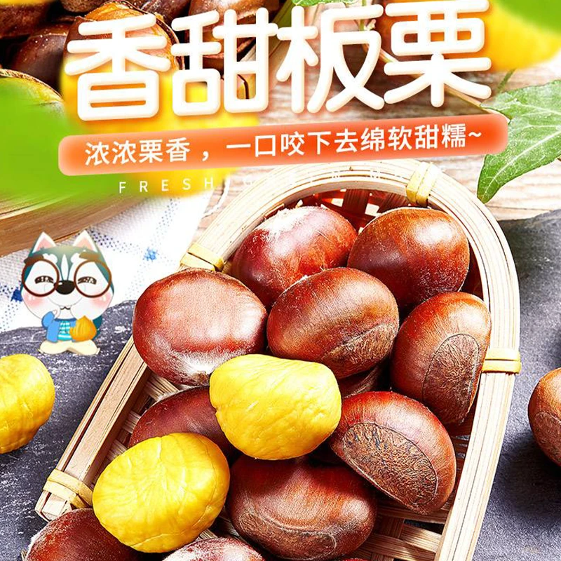 新鲜板栗丹东大果特大果板栗3/5斤新鲜 生板栗油栗栗子严选大粒