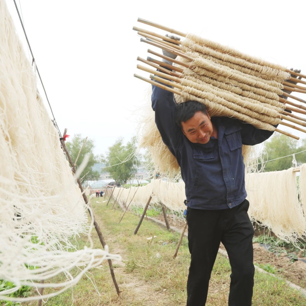 秦巴特产农家手工红薯粉条红苕粉番薯粉条可做酸辣粉