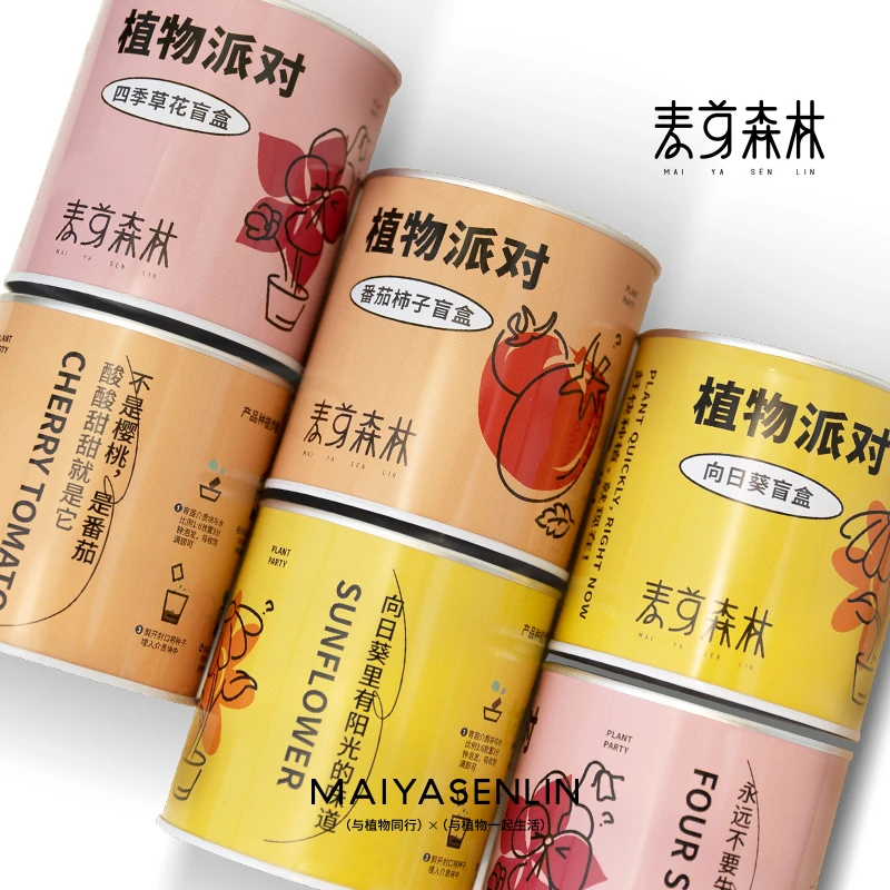 种植罐头向日葵小番茄草花播种开会花春季新品