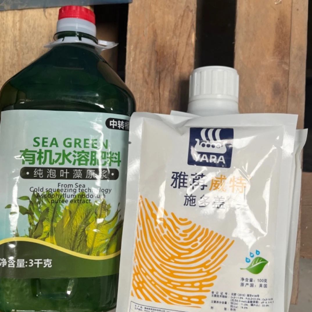 泡叶藻原浆生根返苗就用它 一套2到3亩地