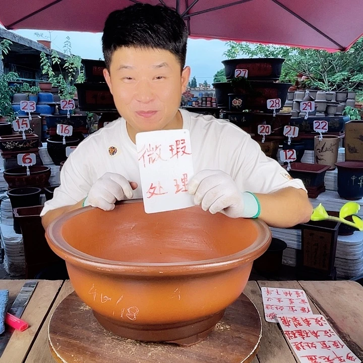 紫砂20CM（含）-50CM（不含）
