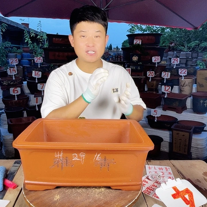 紫砂20CM（含）-50CM（不含）