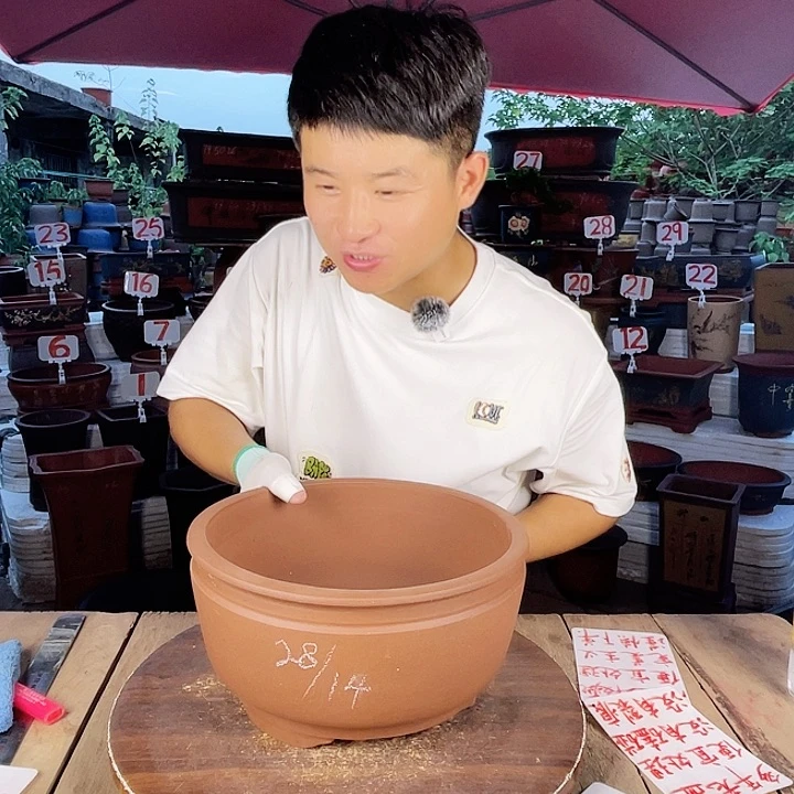 紫砂20CM（含）-50CM（不含）