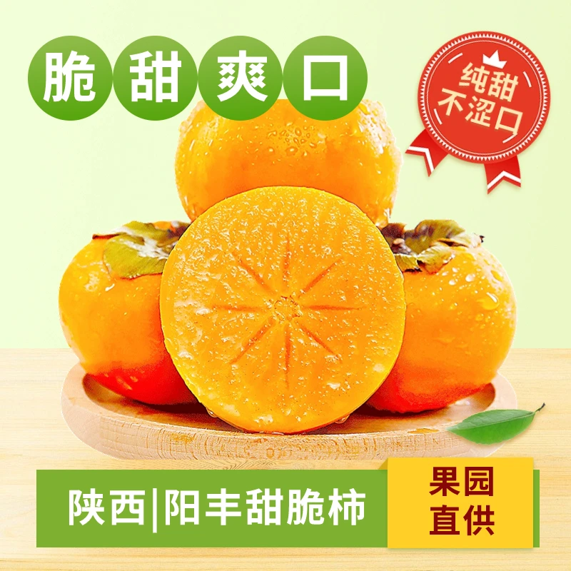 巧克力脆柿阳丰甜柿新鲜采摘水果大柿子脆柿子冰糖心脆柿新鲜整箱