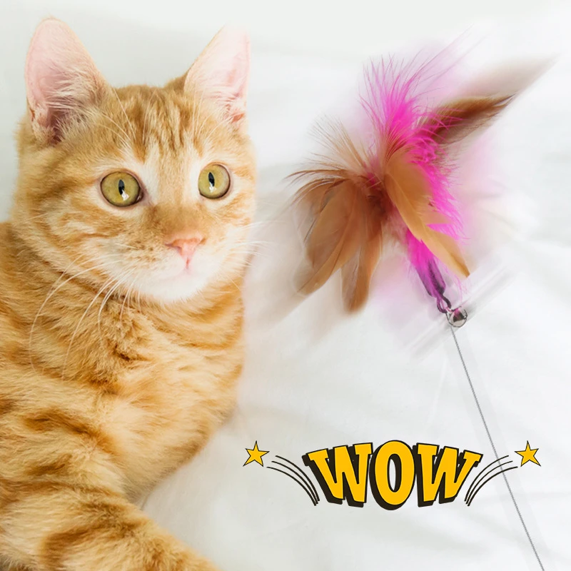 逗猫棒宠物自嗨猫咪玩具多功能可绑脚桌腿项圈羽毛硅胶逗猫棒好玩