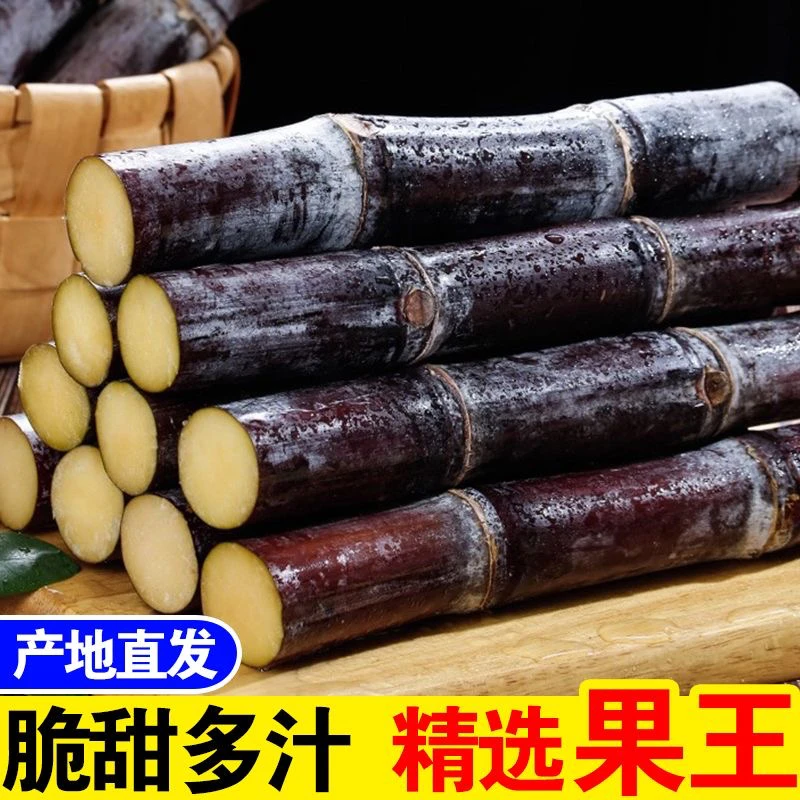 广西黑皮甘蔗新鲜水果脆甜多汁皮薄清甜现砍直发