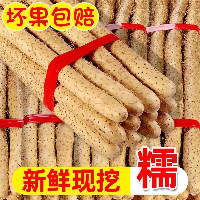 铁棍山药小白嘴山药4.5斤到5斤软糯香面微甜新鲜采挖蠡县特产