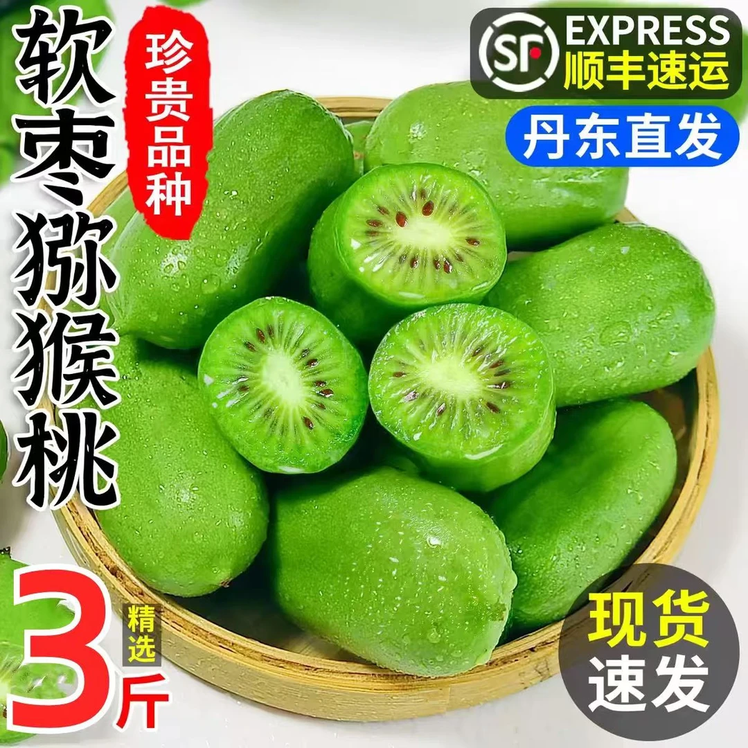 丹东新鲜软枣猕猴桃迷你东北特产圆枣子奇异莓果莓小猕猴桃顺丰