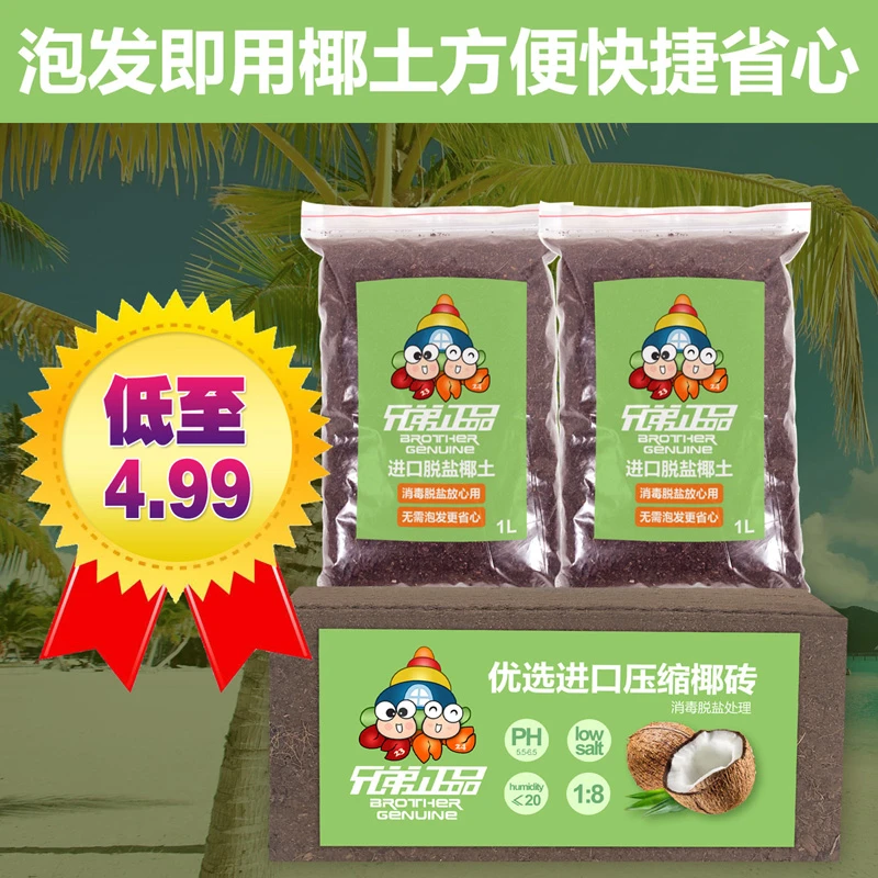 寄居蟹爬宠造景优选垫材无菌椰土椰砖乌龟冬眠保暖椰土盆栽营养土
