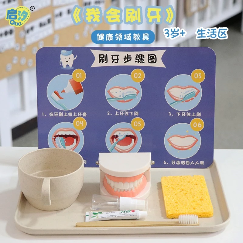 启汐【刷牙训练】蒙氏教具精细动作早教玩具生活区小班材料幼儿园