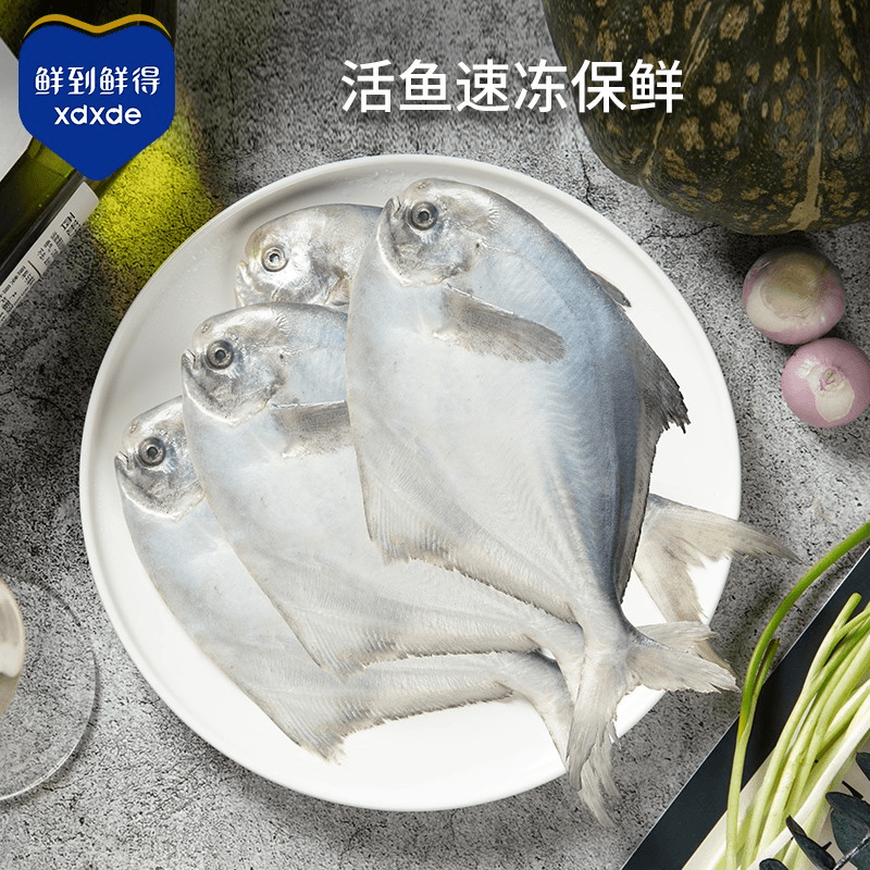 鲜到鲜得 东海海捕鲳鱼400g*4 顺丰包邮 冷链运输 银鲳鱼新鲜营养