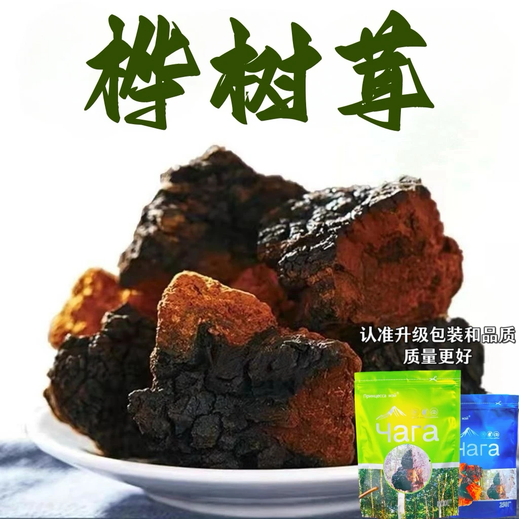 中俄边境桦树茸包邮白桦茸煮水喝特别好营养浓郁250g