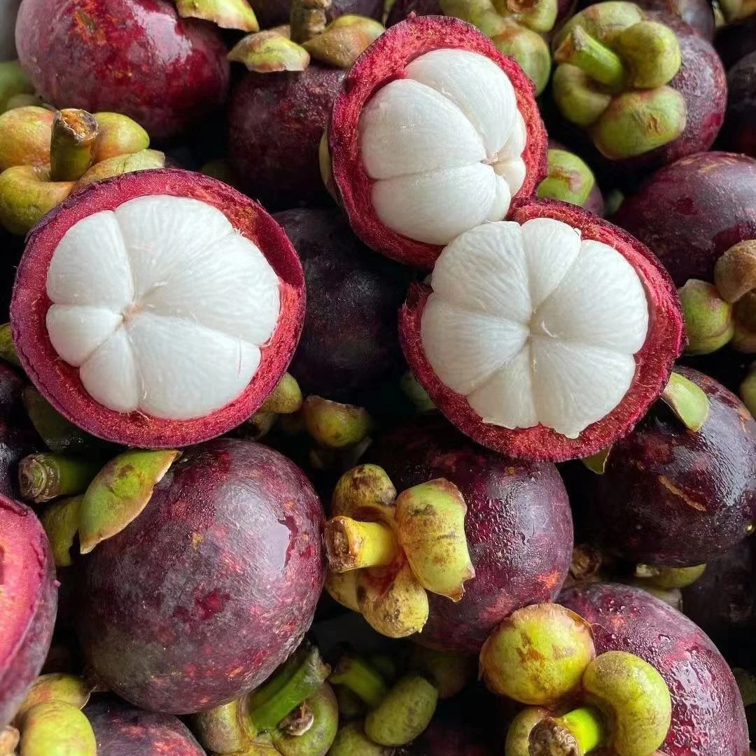 【送货到家】精品5A山竹-500g