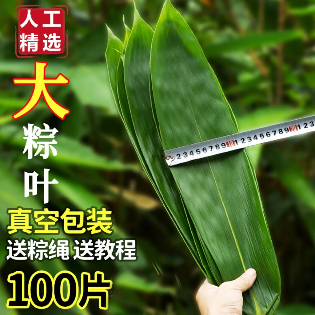 江西新鲜野生箬竹叶大粽叶50片100片现摘粽子叶包邮300克