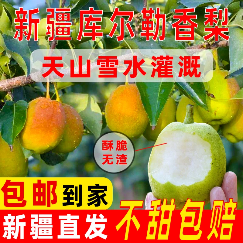【新疆库尔勒香梨一级6斤】新疆梨园直发皮薄香脆新鲜甘甜口感香甜
