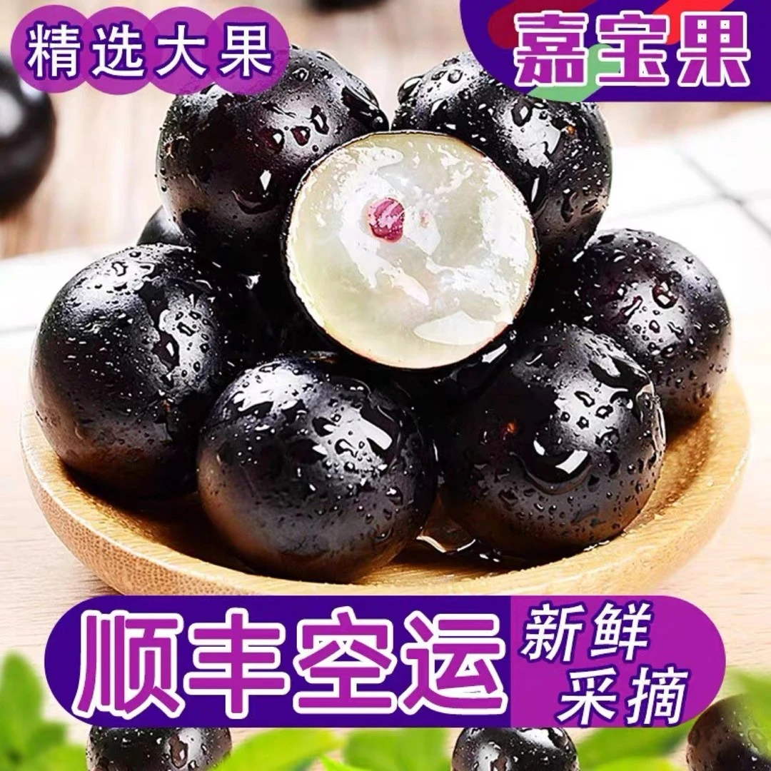 【顺丰空运】嘉宝果新鲜应季酸甜爽口稀有热带孕妇水果新鲜饱满爆汁