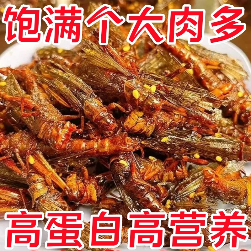 半价冲量】正宗山东特产新鲜油炸蚂蚱五香即食零香辣油炸蚂蚱零食