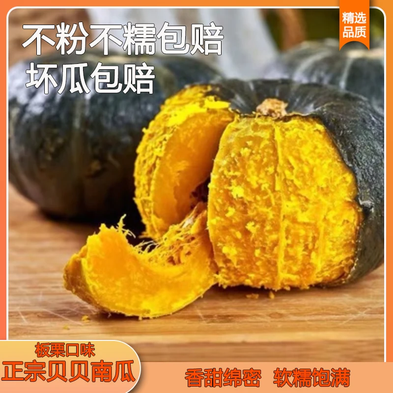 【番茄公社】正宗贝贝南瓜粉糯香甜板栗味农家粗粮辅食代餐营养美味