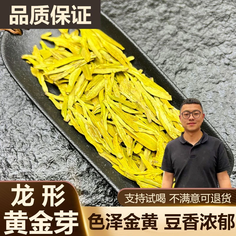 【龙形黄金芽】2025新茶明前黄金叶豆香浓郁滋味醇厚茶叶高山绿茶