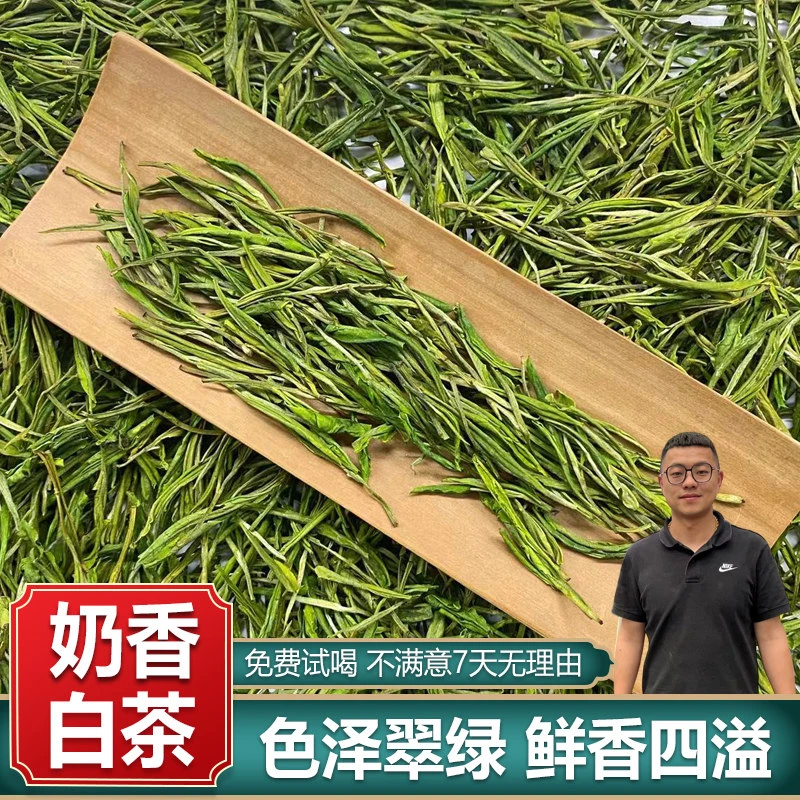 绿版鲜香型2025新茶叶送礼正宗雨前奶香白茶罐装高山绿茶春茶