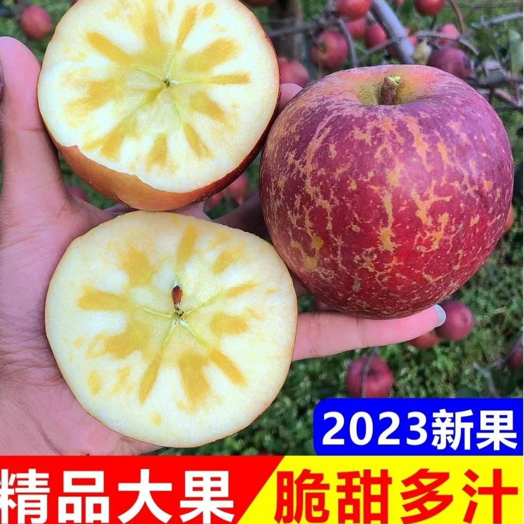 【脆甜】正宗高山冰糖心苹果新鲜水果红富士丑苹果3/5/9斤包邮批发