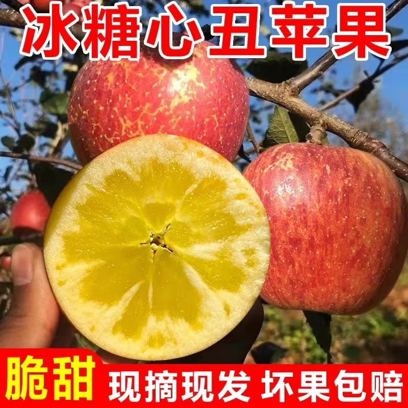 现摘现发】正宗冰糖心丑苹果水果新鲜红富士苹果脆甜皮薄孕妇包邮C