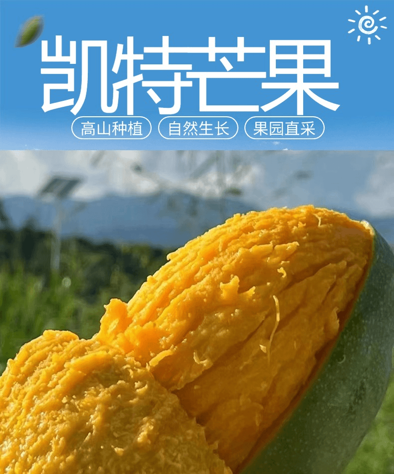 3斤凯特芒芒果试吃
