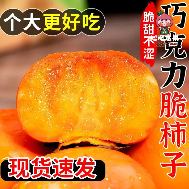 巧克力脆柿子 新鲜水果脆甜硬柿子应季脆皮柿子甜脆柿-QC