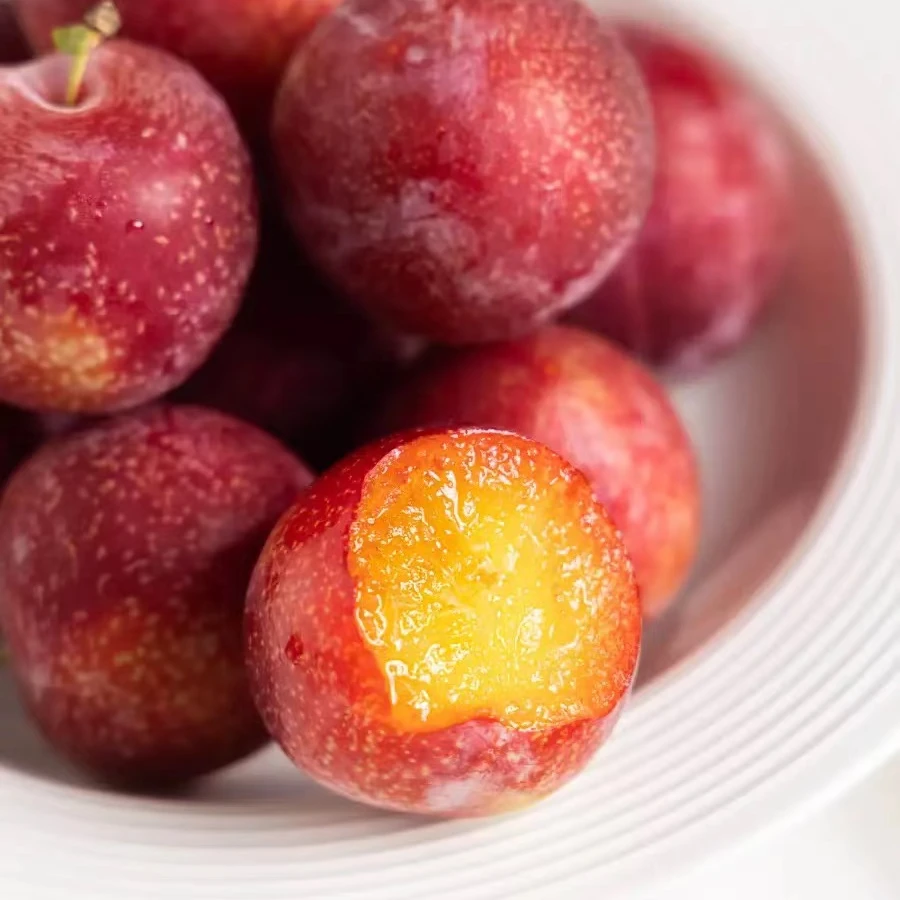 【哈拉秀严选】智利樱桃李J-5J  2/5斤新鲜智利进口李子