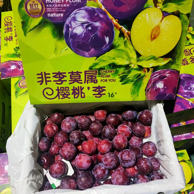 【哈拉秀严选】当季限量 “非李莫属”樱桃李2.8斤左右新鲜水果