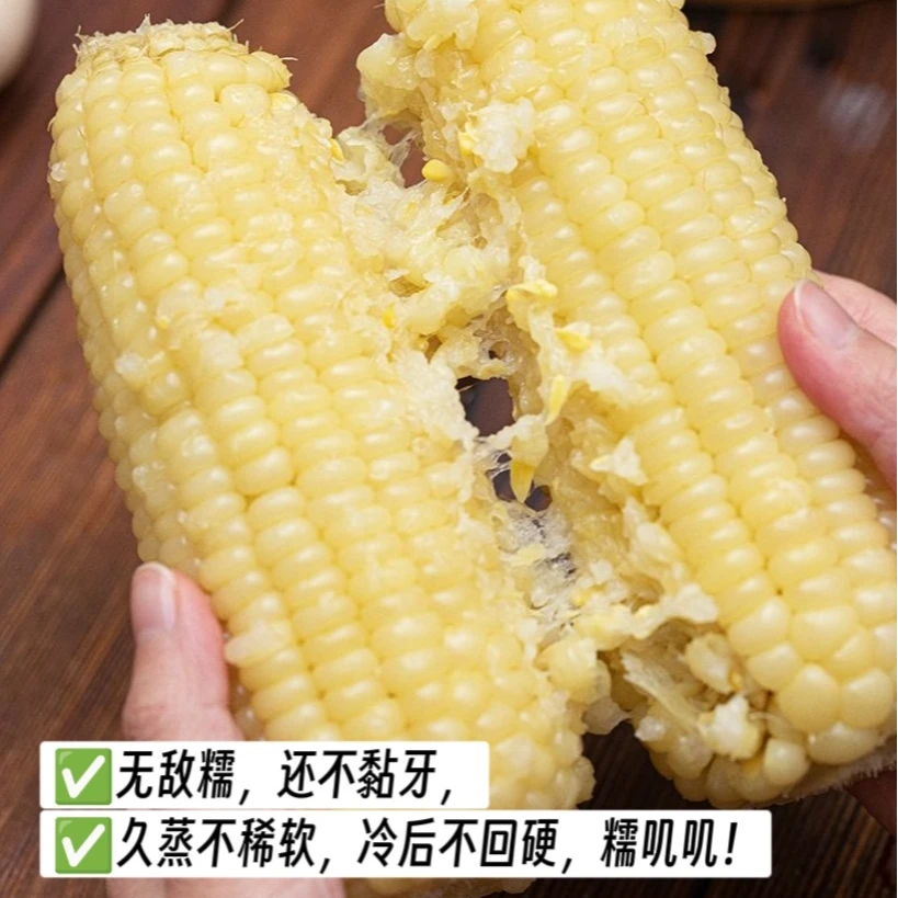 【哈拉秀严选】新疆田园康有机玉米10/20根装新鲜玉米