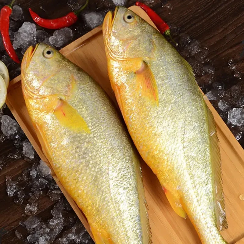黄花鱼一条北京闪送