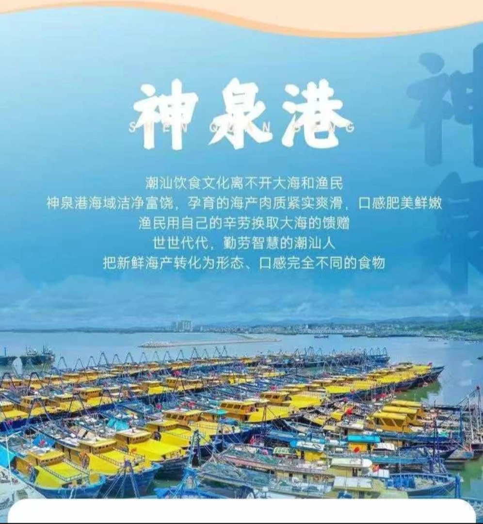 广东惠来神泉港 码头代购多种杂鱼混搭套装1-50斤