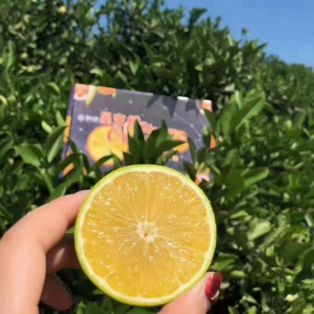 【合肥直发】云南哀牢山星空橙纯甜无酸新鲜采摘净重3.5斤装