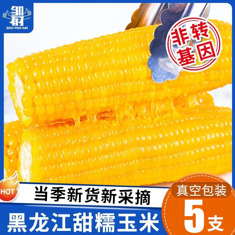 东北黏玉米棒真空包装黑龙江当季新鲜甜粘粗粮糯苞米非转基因